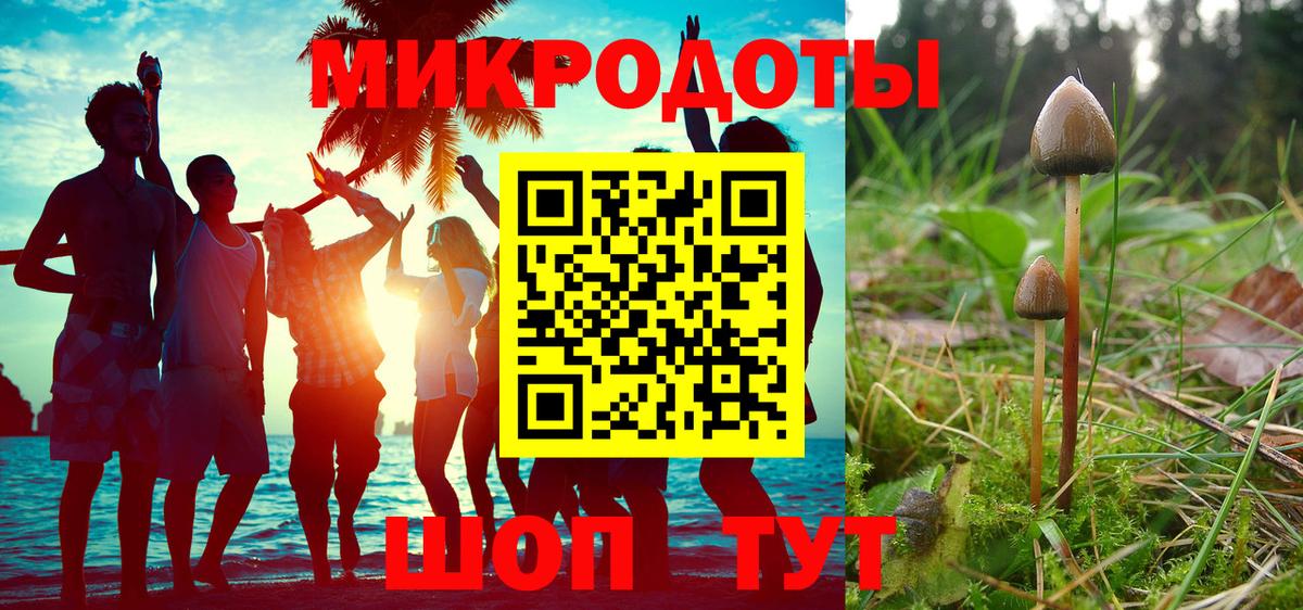 Псилоцибиновые грибы прущие грибы  как найти закладки  Алатырь  Вход с VPN 