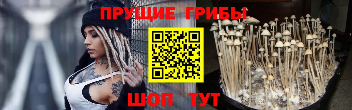 Галлюциногенные грибы мицелий Алатырь